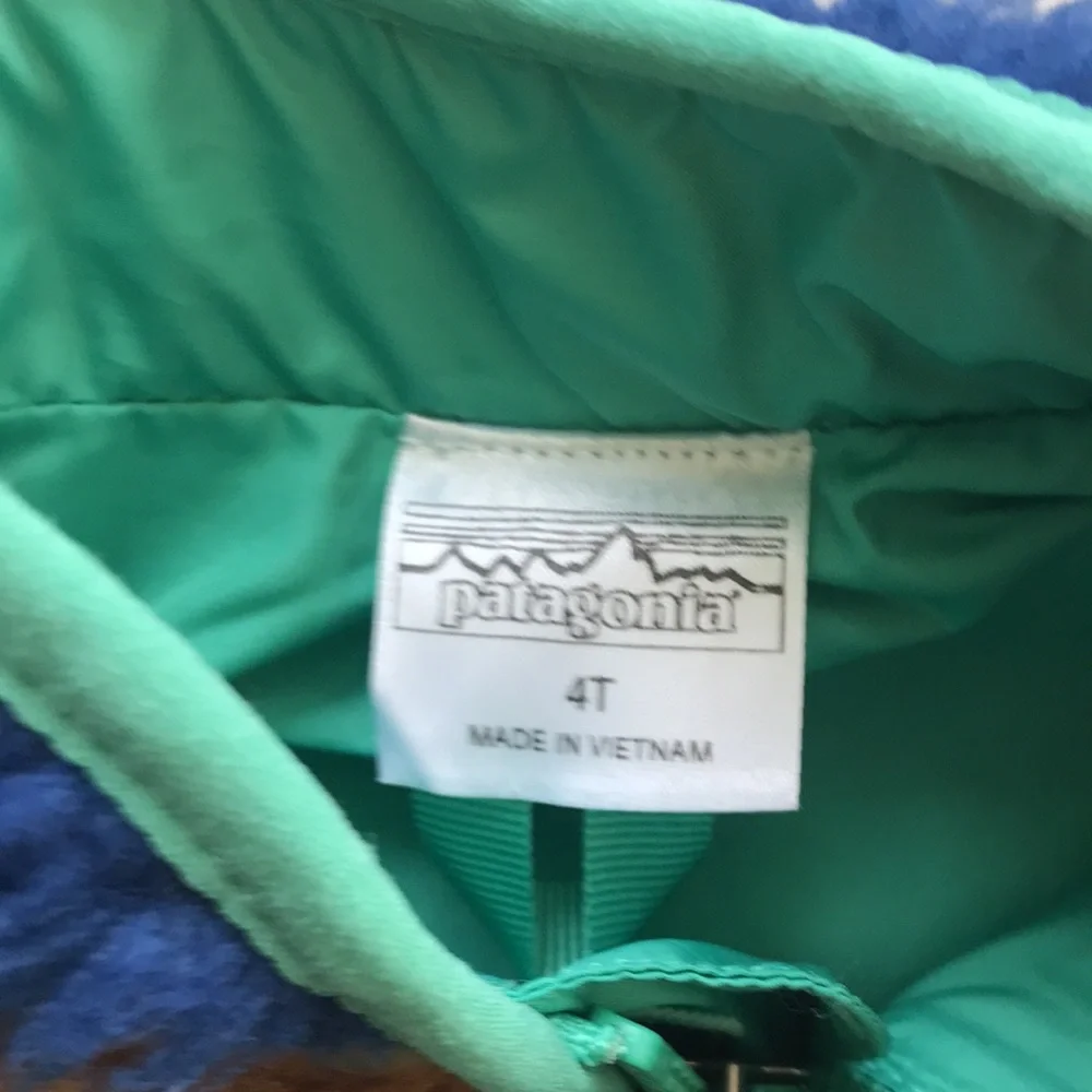 Patagonia Fleece Vest (size 4T)